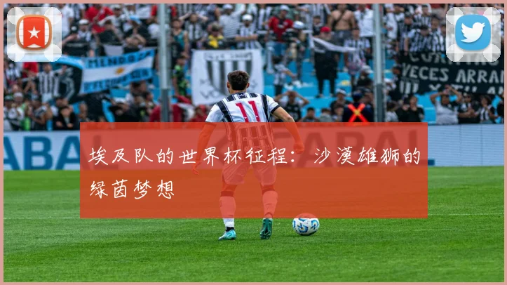 埃及队的世界杯征程：沙漠雄狮的绿茵梦想